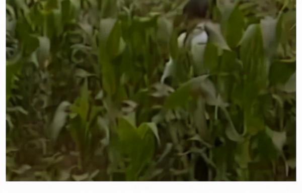 1990年,東北40歲婦女喝汽油喝農藥成癮,持續了10年,身體情況如何?