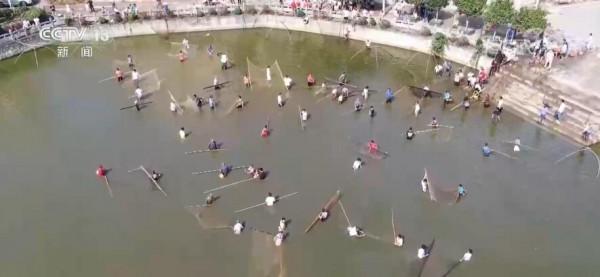 除了吃月餅，各地還有這些中秋習俗