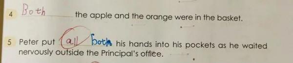 雙減後娃的英語怎麼辦？8000字原版英文練習冊的入手指南送給你