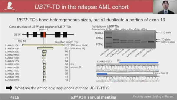 基因突變與克隆性造血有哪些聯絡，又如何指導AML危險分層？