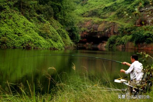 秋分到霜降,牢記這6釣,收穫一定差不了 秋分到霜降,牢記這6釣,收穫一定差不了