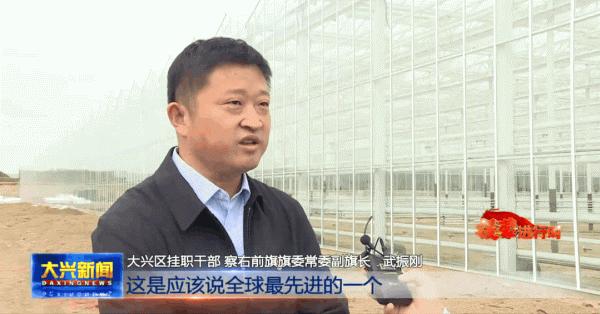 草原上的“四季番茄小鎮” 草原上的“四季番茄小鎮”