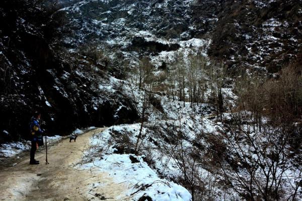 走進秦嶺山
