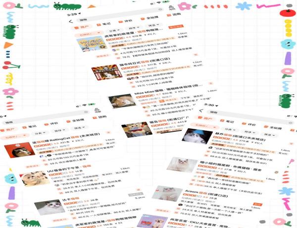 我們體驗了貓咖，發現並不掙錢