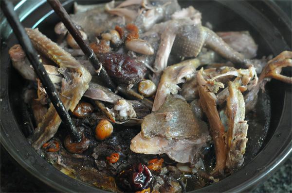 天氣寒冷，吃鴿勝過雞和鴨！上鍋一蒸香氣四溢，高蛋白好消化