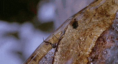 這樣開燈照明，患癌風險增加55&percnt;！燈光的危害，遠不止這些