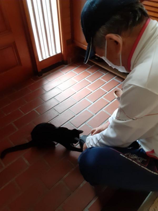 日本老爺爺救回一隻被烏鴉攻擊的小黑貓，擼貓半年人都變年輕了