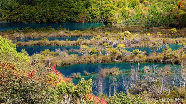 別人的生活:退休了 開始自駕遊 別人的生活:退休了 開始自駕遊