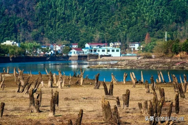 媲美318的爆火穿越路線,遊走在仙境般的皖南秋色之中 媲美318的爆火穿越路線,遊走在仙境般的皖南秋色之中