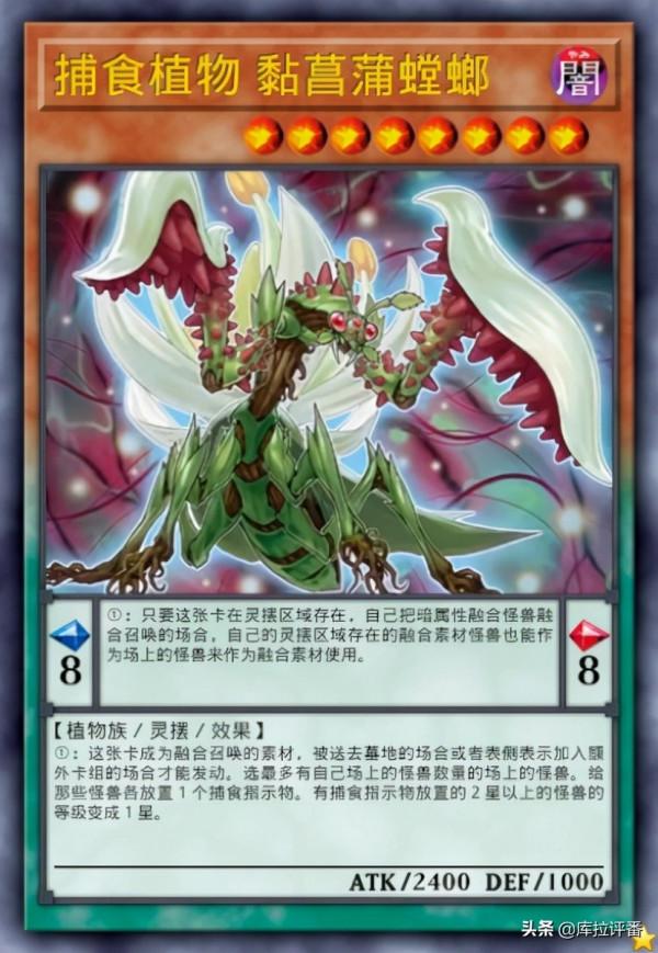 遊戲王,兇餓毒捕食植物融合龍,捕食植物新卡投入 遊戲王,兇餓毒捕食植物融合龍,捕食植物新卡投入