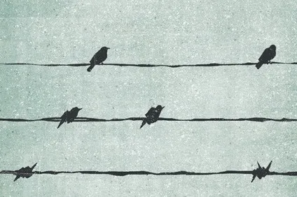 如何不被內卷？《被討厭的勇氣》這本書給予你自由的勇氣