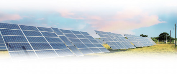 風光裝備製造商全力備戰“大基地專案”