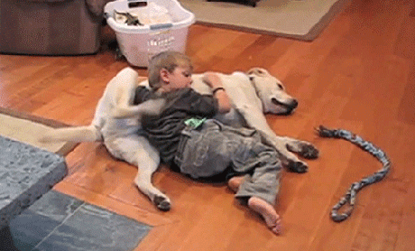 張口呼吸會長歪,用“閉嘴貼”?醫生:胡來! 張口呼吸會長歪,用“閉嘴貼”?醫生:胡來!