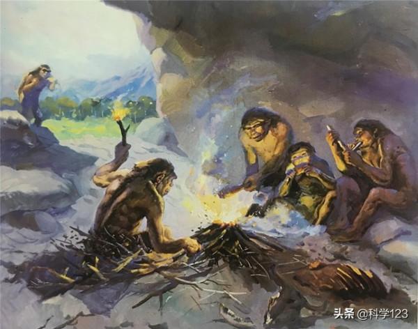 115萬年前,人類褪去多餘的毛髮,為何幾個特殊部位保留了下來? 115萬年前,人類褪去多餘的毛髮,為何幾個特殊部位保留了下來?