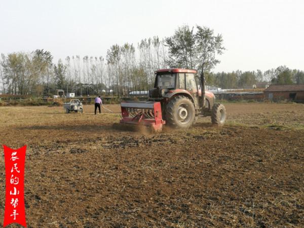 小麥底肥該如何選？每畝用多少斤？看看參考資料就知道