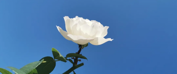 你滿腦子想著錢的樣子，真噁心