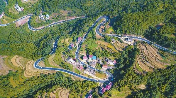 【鄉村振興】鼓勵社會資本投資農業農村的13個重點領域！