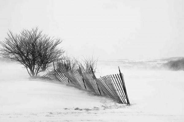 如果事與願違，定是上天另有安排