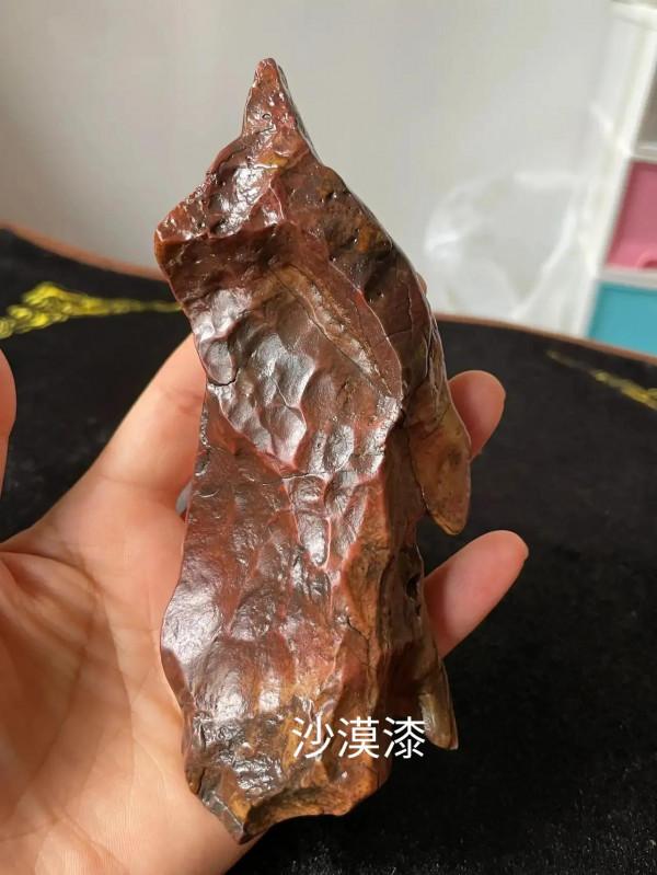 大家認識沙漠漆嗎 大家認識沙漠漆嗎