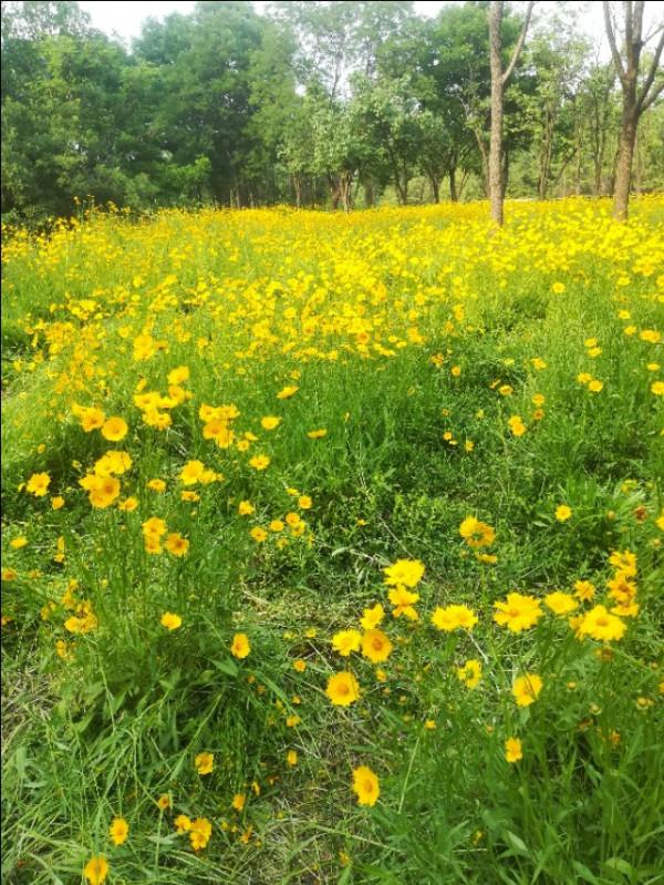 朋友女兒說：找物件就找體制內的，這是為什麼呀？