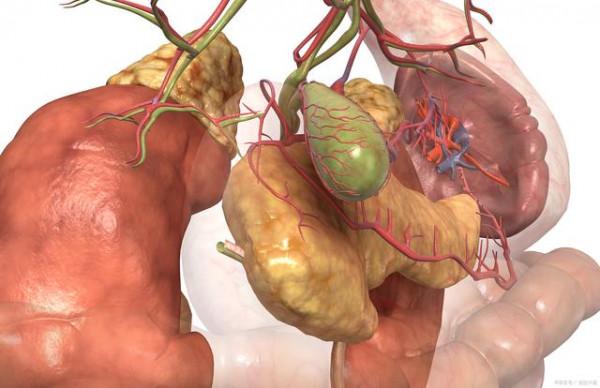 人體有6個器官能&OpenCurlyDoubleQuote;拿掉&rdquo;，完全不影響正常生活，究竟是真是假？