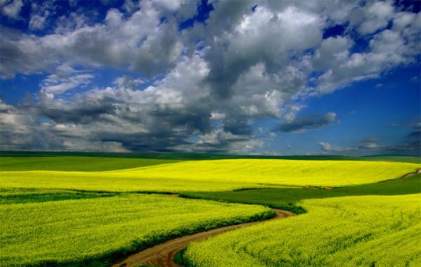 你想要來的新疆2022年是這樣的