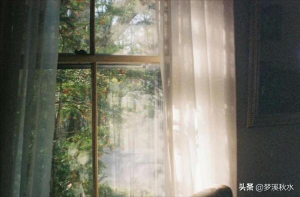 中秋——月是故鄉圓 中秋——月是故鄉圓