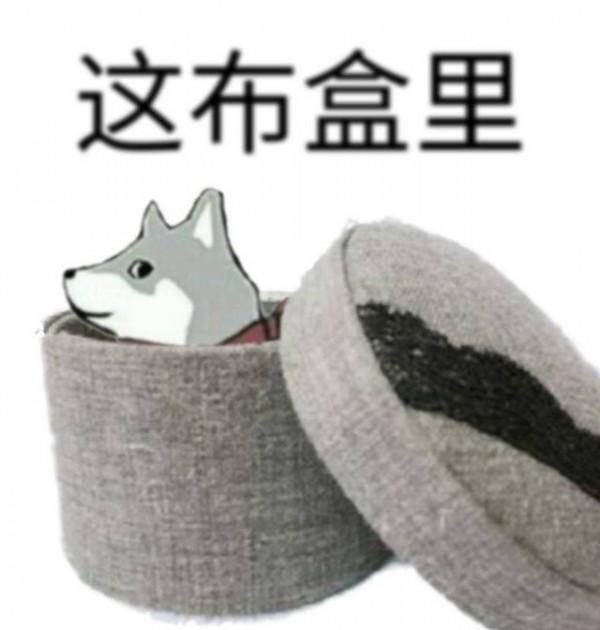 攢機點評:“東方不敗”還沒出門就敗了 攢機點評:“東方不敗”還沒出門就敗了