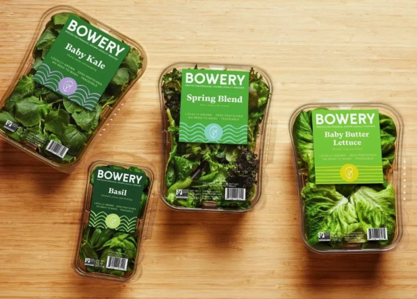 垂直農業又破紀錄！新一輪農業變革強勢來襲