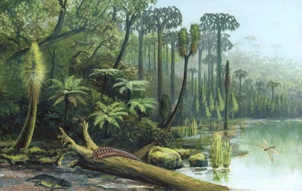 3億年前，恐龍和人類都沒有誕生，當時的地球是什麼樣子？