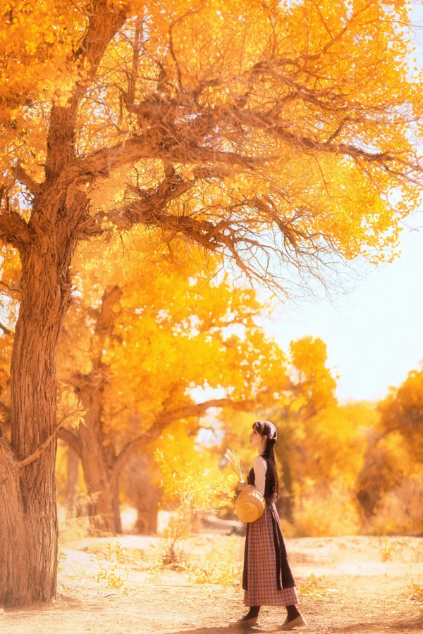 預測！2022必火的自駕旅行清單！先收藏