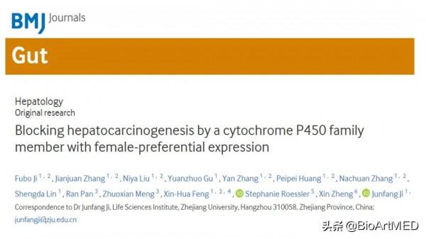 Gut &vert; 姬峻芳團隊揭示CYP39A1可顯著阻斷肝細胞癌的發生發展