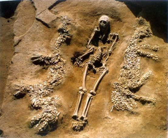 說說龍是怎麼來的？