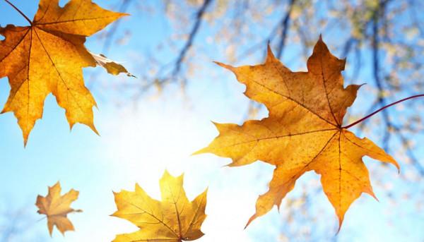 秋意濃,防涼燥、宜艾灸,情緒舒暢很重要 秋意濃,防涼燥、宜艾灸,情緒舒暢很重要