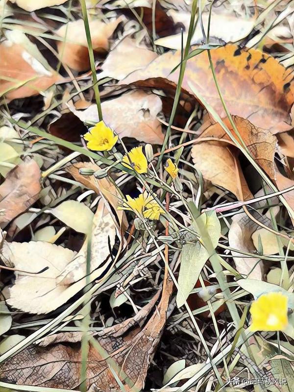 你走，我不送你