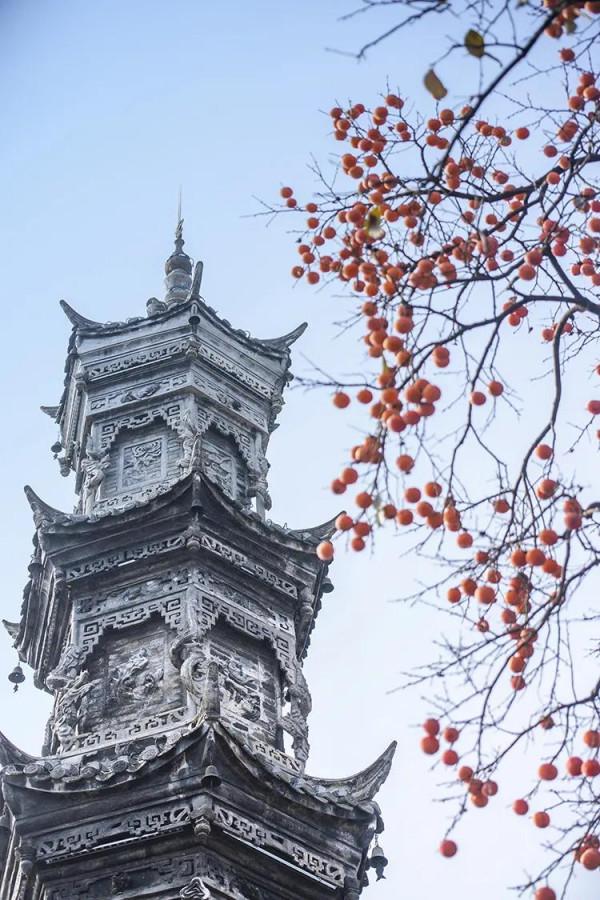 街子 一棵樹撐起了一個古鎮的初冬