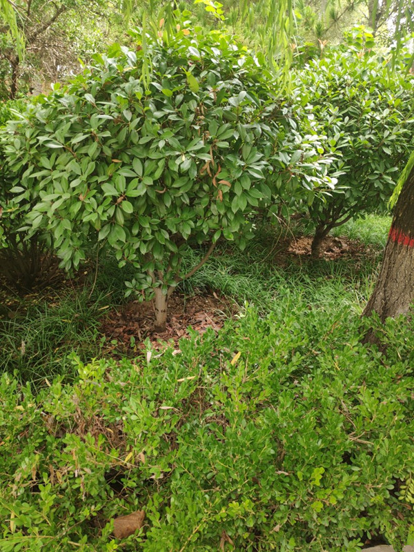 雨過天晴 公園一日遊