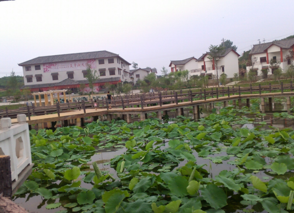 村鎮合併：農村面貌改善了，生活也好了，為什麼有村民不願意呢？