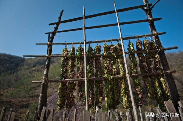 彝族年趕集 大涼山十年記之2011(2) 彝族年趕集 大涼山十年記之2011(2)