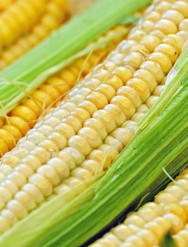 能迅速解膩、降脂、刮油的蔬菜有哪些？