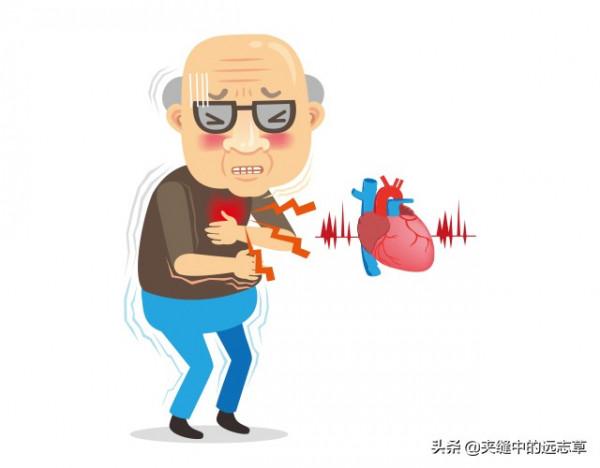 胸痛,冠心病?送你兩味中藥,一味行血,一味破血 胸痛,冠心病?送你兩味中藥,一味行血,一味破血