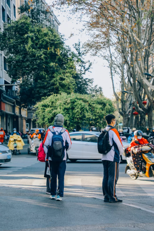 北京東路，喜提秋天