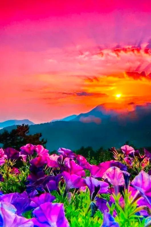 分享：美景如畫，驚豔絕倫，仙境一般的自然環境，如此優美迷人