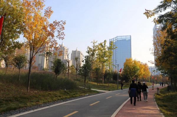 深秋季節的廟底溝考古文化公園