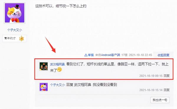 湖北一男子用小魚釣水鳥,怕惹麻煩又放了,網友:“你真刑” 湖北一男子用小魚釣水鳥,怕惹麻煩又放了,網友:“你真刑”