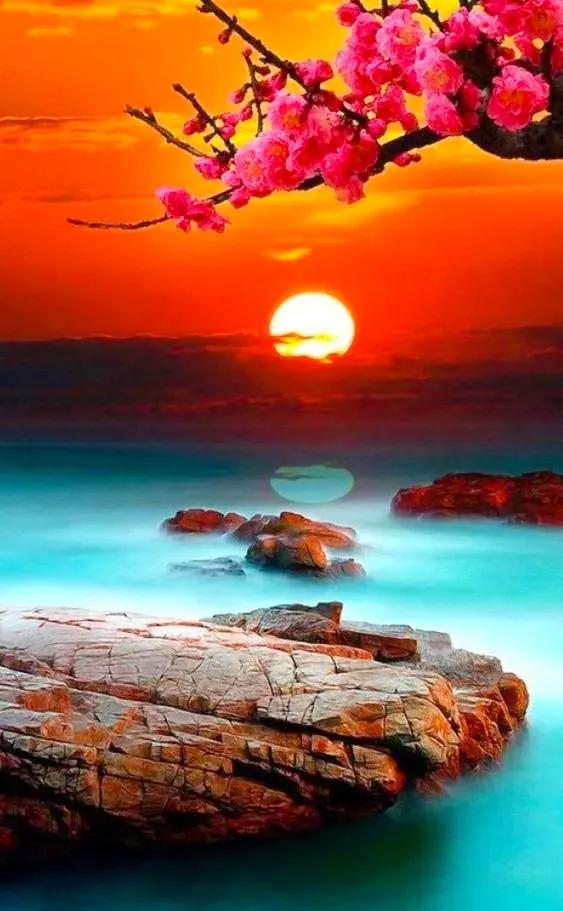 分享：美景如畫，驚豔絕倫，仙境一般的自然環境，如此優美迷人