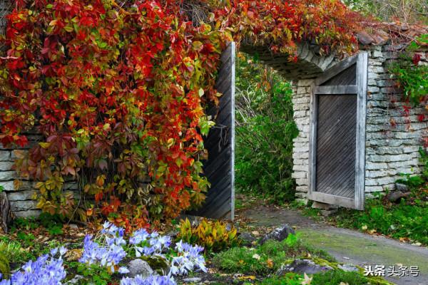 每日一詞《青門飲 寄龍人》賞析 每日一詞《青門飲 寄龍人》賞析