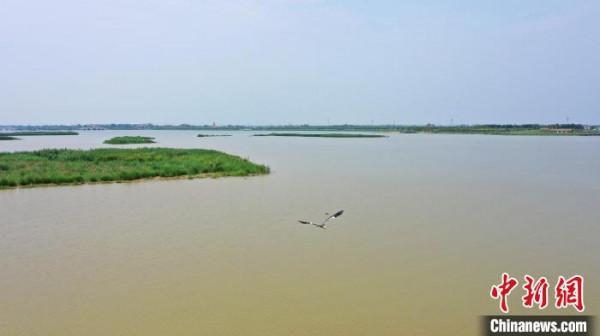 南宮湖溼地公園：昔日舊坑塘成鳥類天堂