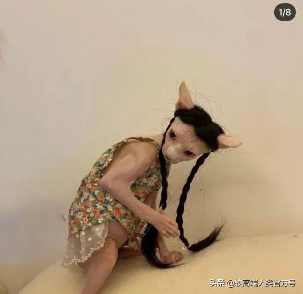 武林外傳的臺詞有多絕？細品全是人生哲學