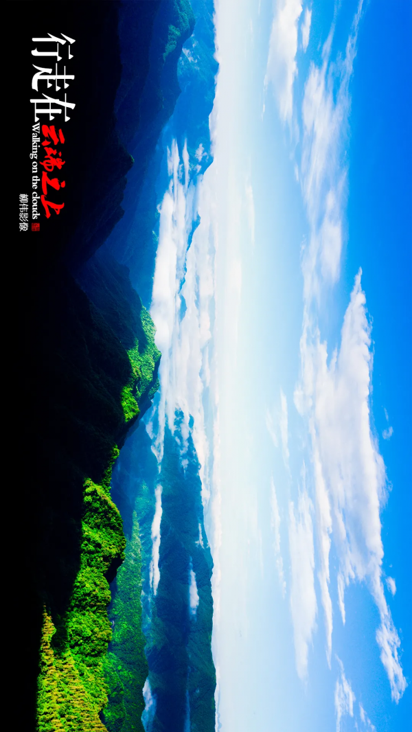 旋轉手機90° →哇！平利正陽雲端草甸這麼美嗎！